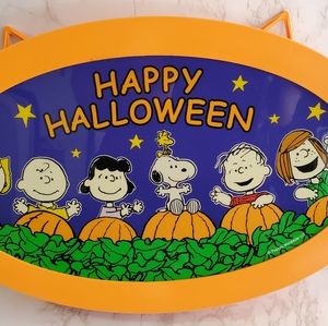 14”x 9" Peanuts Charlie Brown and the gang